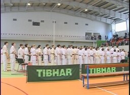 Успехи саяногорских каратистов на соревнованиях в Новосибирске