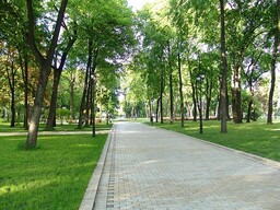 Парк активного отдыха построят в Саяногорске