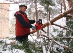 В Черемушках ликвидируют последствия сильного ветра