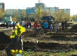 В парке активного отдыха высадили клены и каштаны