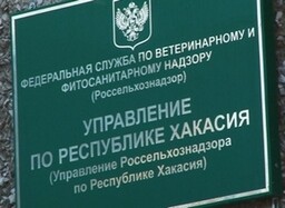 Охота на птицу в Саяногорске