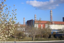 САЗ расширяет свои экологические программы