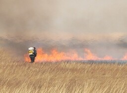 В Саяногорске начались плановые отжиги травы