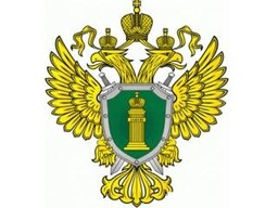 Назначен прокурор Алтайского района