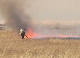 Горит в Шушенском районе, пахнет в Саяногорске