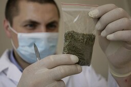 В Саяногорске патруль случайно обнаружил у прохожих полкилограмма марихуаны