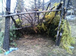 В Саяно-Шушенском заповеднике оперативная группа во время рейда обнаружила следы пребывания браконьеров.