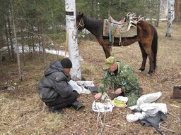 В Саяно-Шушенском заповеднике браконьер напал на инспектора