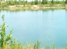 Спасли утопающего