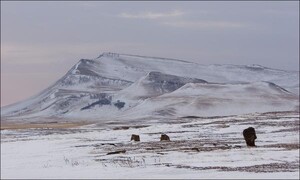 В Хакасию больше всего туристов едут из Германии