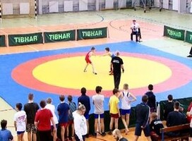 5 наград высшего достоинства завоевали саяногорские борцы