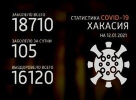 Коронавирус подтвердили еще у 22 саяногорцев