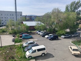Саяногорск станет зеленее на 750 растений