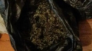 Срок грозит жителям Хакасии за хранение марихуаны в крупном размере