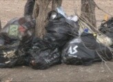 В Саяногорске стартовал двухмесячник по благоустройству и озеленению