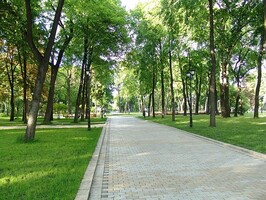 Парк активного отдыха построят в Саяногорске