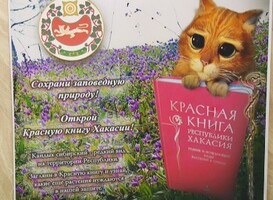 «Саяногорские встречи» объединили борцов за экологию