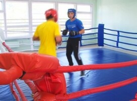 Саяногорские боксеры заняли три призовых места