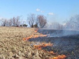 В Хакасии открыт сезон пала сухой травы