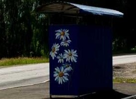 Майнские остановки расцвели маками и ромашками