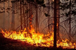 Жаркая погода в Хакасии спровоцировала рост пожаров