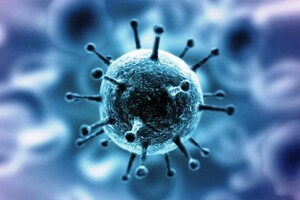 В Хакасии у больных отказываются брать анализы на коронавирус