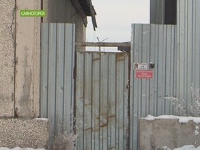 Грибники испортили в Саяногорске воздух