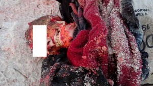 В Саяногорске в районе КСРЗ найдено тело женщины, предположительно пострадавшей от бродячих собак