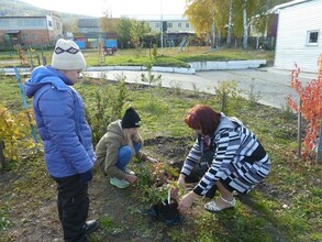 Реабилитационный центр в Саяногорске накрыло зеленой волной