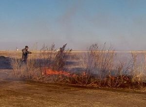 В окрестностях Саяногорска горели более 4 с половиной миллионов квадратных метров степи