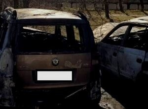 В Саяногорске огонь уничтожил 3 автомобиля и 2 дачных домика