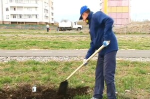 В Саяногорске начали озеленять дворы, парки и скверы