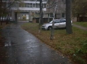 Автомобиль оставленный в лесопарке Черемушек вызвал подозрения у жителей поселка
