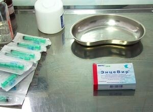 В Саяногорске появилась вакцина от клещевого энцефалита