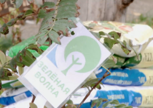 Саяногорск озеленили в рамках грантовой программы РУСАЛа «Зеленая волна»