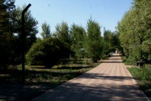 Реализация комфортной городской среды в Саяногорске на финишной прямой