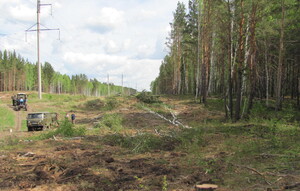 Саяногорские энергетики приступили к освобождению электролиний от лесного плена