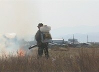 Специалисты администрации Саяногорска начали предпринимать противопожарные меры