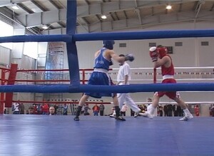 Сегодня в Саяногорске стартовало Первенство СФО по боксу