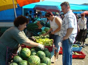 Сельхозпроизводители Хакасии съедутся в Саяногорск