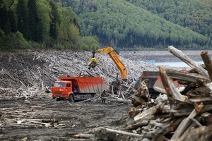 Возобновлена очистка Саяно-Шушенского водохранилища от плавающей древесины