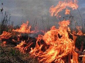 Лесной пожар в районе Саяногорска потушили оперативно