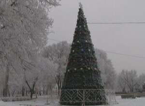 В Саяногорске начали установку одной из городских елок