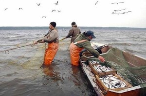 В Хакасии появится 25 новых рыбопромысловых участков