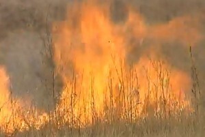 В Хакасии за сутки зарегистрировано 57 степных пожаров и палов травы