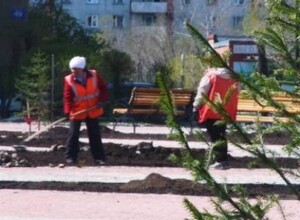 Саяногорский сквер продолжает озеленяться