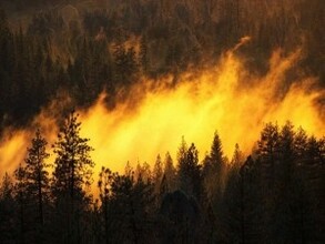 В Хакасии в выходные горел лес в нескольких районах