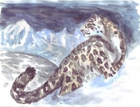 В Хакасии начался конкурс рисунков, фотографий и сувениров «Дикие кошки Южной Сибири»