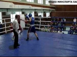 У саяногорских боксеров две три награды первенства Хакасии