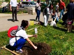 У Саяногорска есть возможность превратиться во фруктовый сад